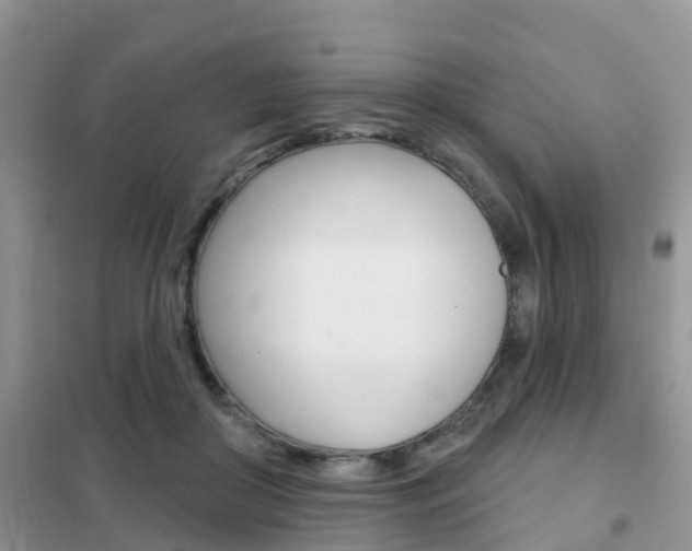 X0000102360410200808011004