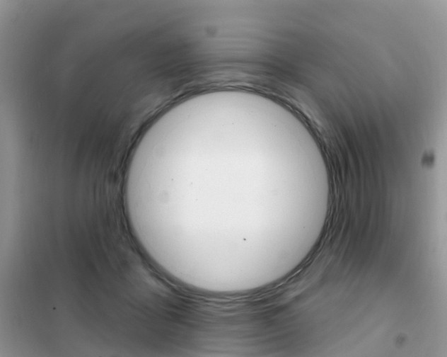 X0000102360411200808011004