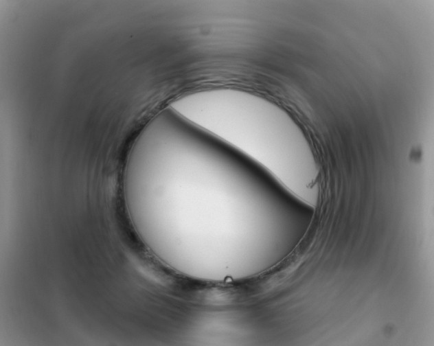 X0000102360412200808011004
