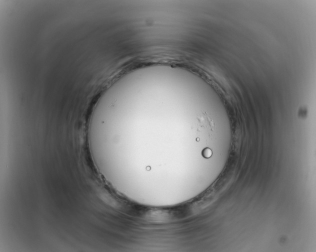 X0000102360413200808011004
