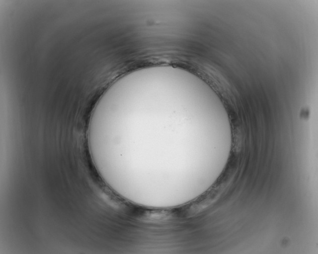 X0000102360414200808011004