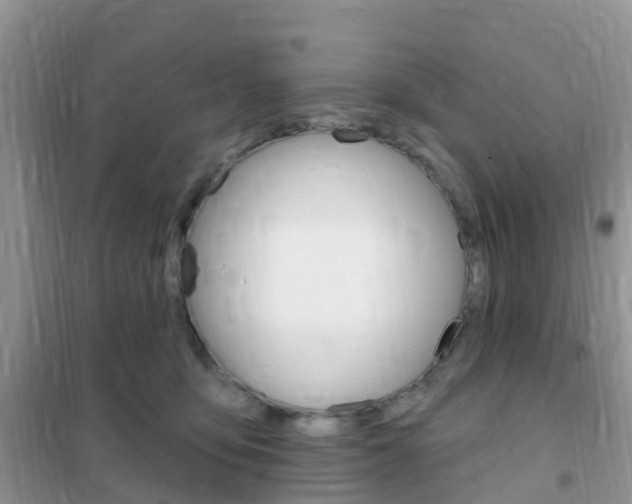 X0000102360419200808011004