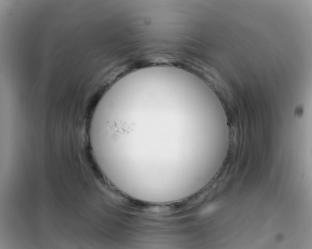 X0000102360422200808011004