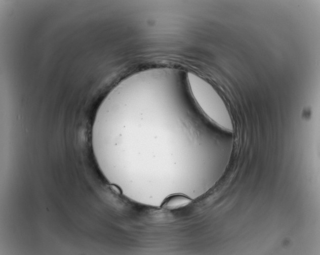 X0000102360424200808011004
