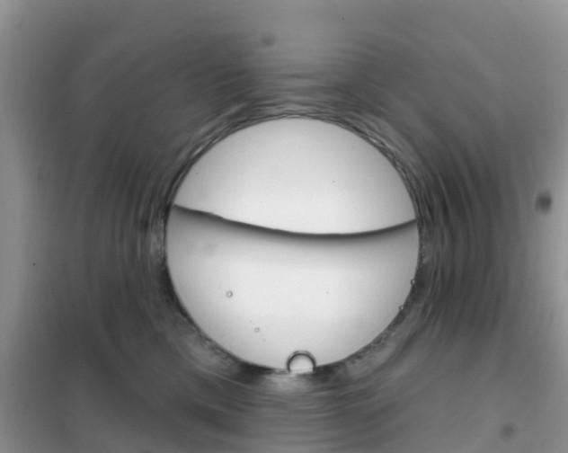 X0000102360425200808011004