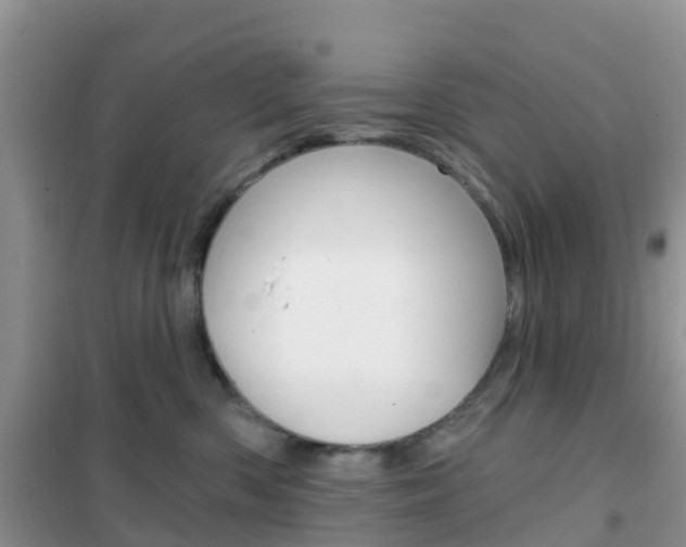 X0000102360426200808011004