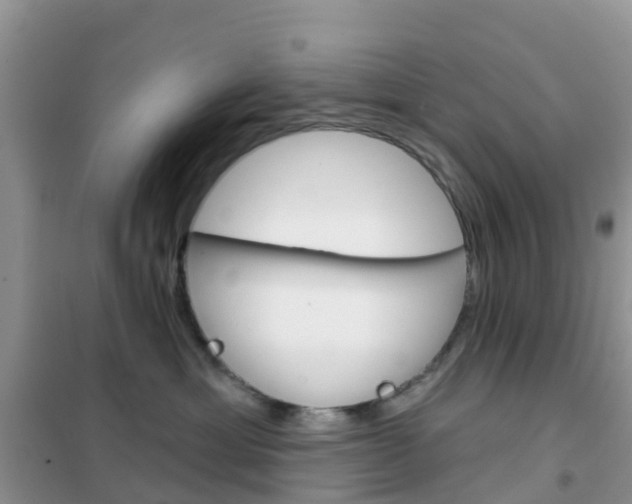 X0000102360429200808011004