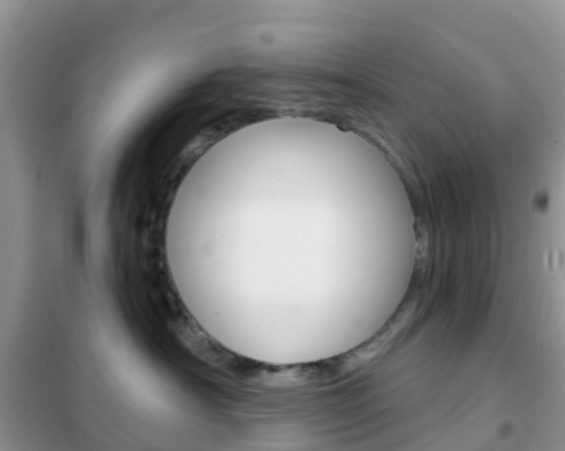 X0000102360430200808011004