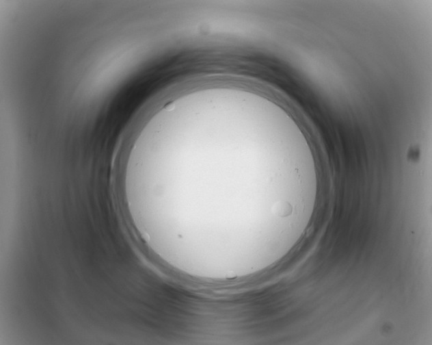 X0000102360431200808011004