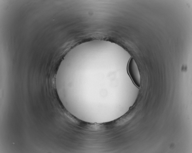 X0000102360432200808011004
