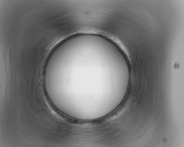 X0000102360433200808011003