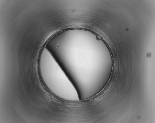 X0000102360434200808011003