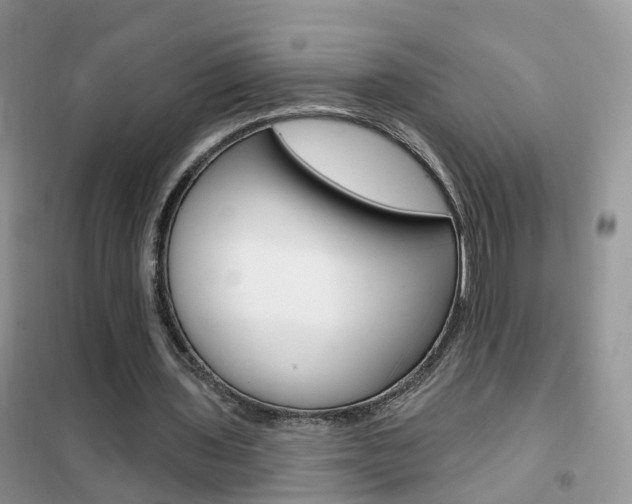 X0000102360435200808011003