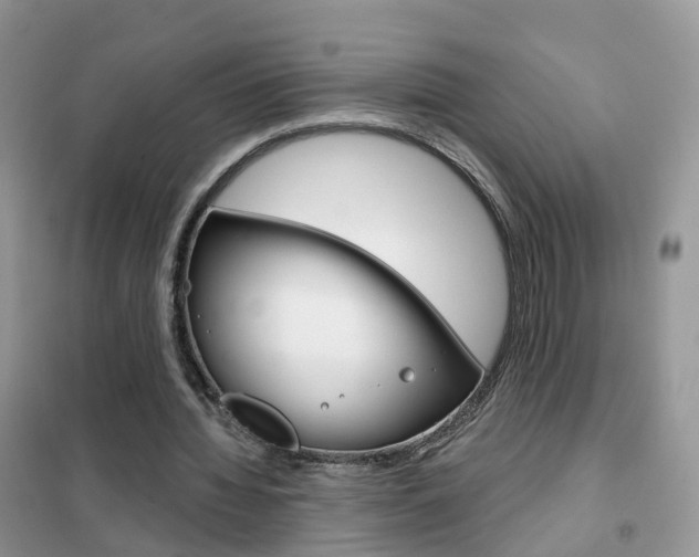 X0000102360436200808011003