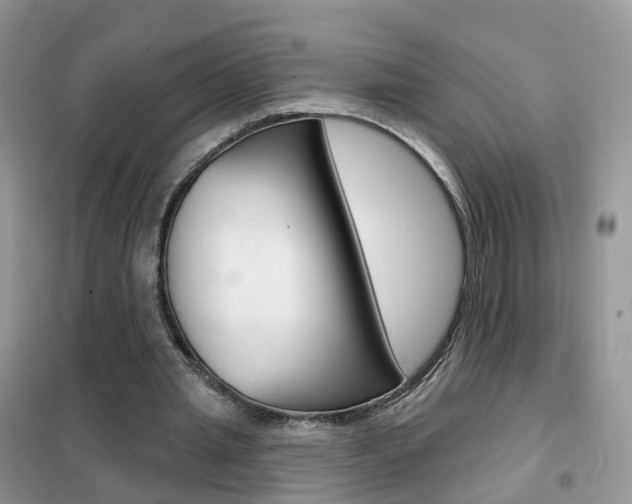 X0000102360437200808011003
