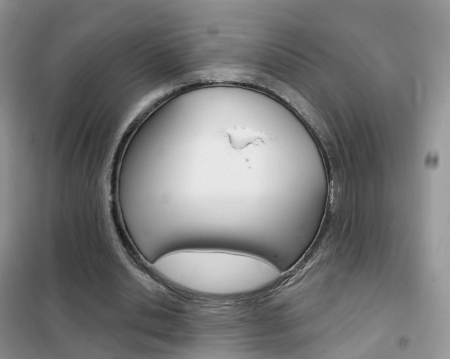 X0000102360438200808011003