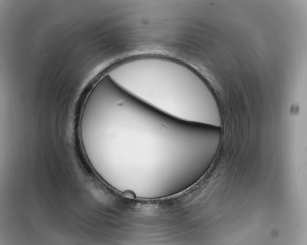 X0000102360440200808011003