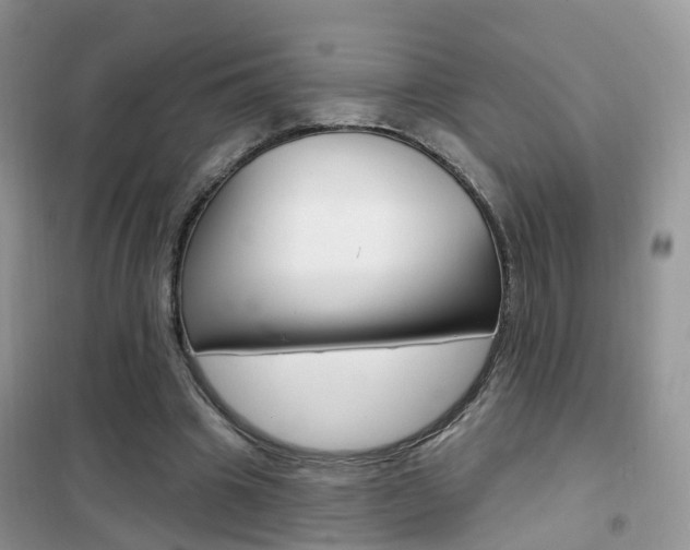 X0000102360441200808011003