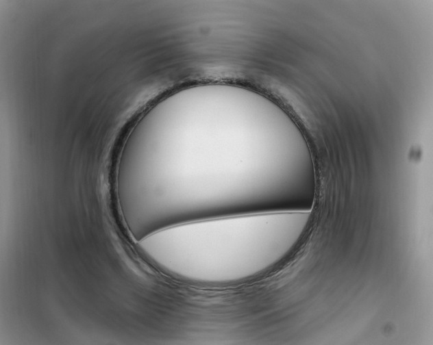 X0000102360443200808011003