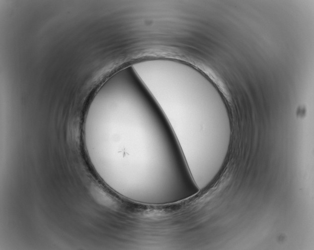X0000102360445200808011003