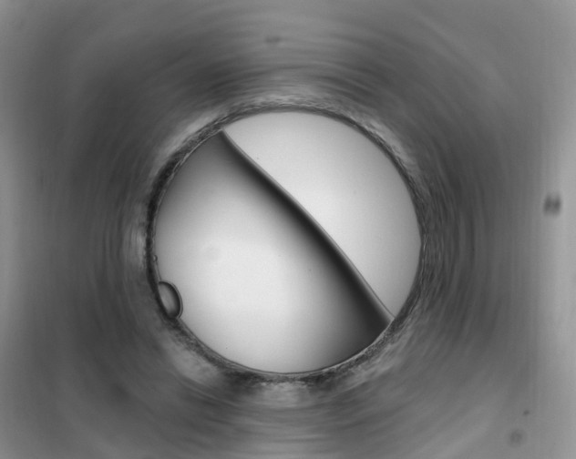 X0000102360446200808011003