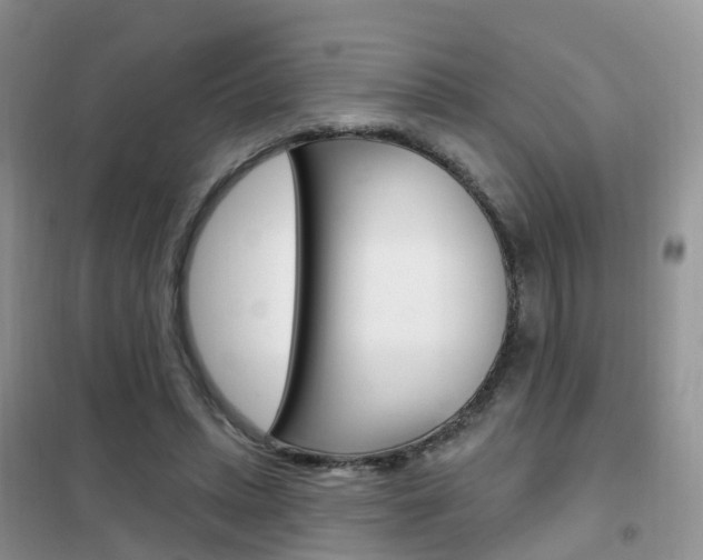 X0000102360447200808011003