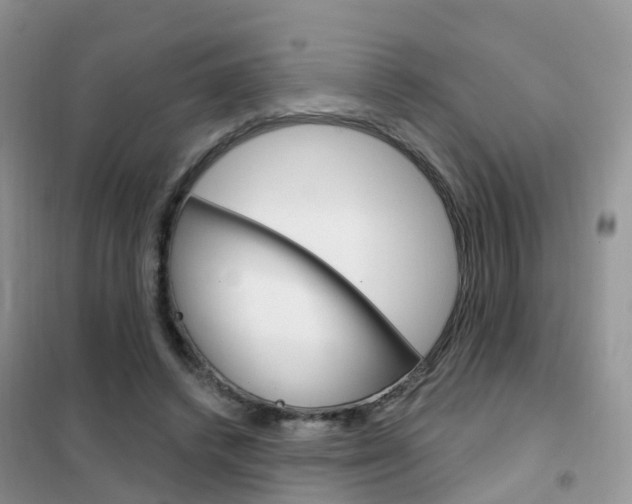 X0000102360448200808011003