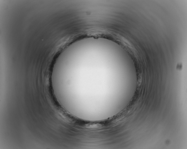 X0000102360452200808011003