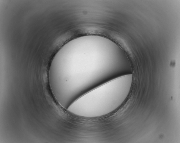 X0000102360453200808011003