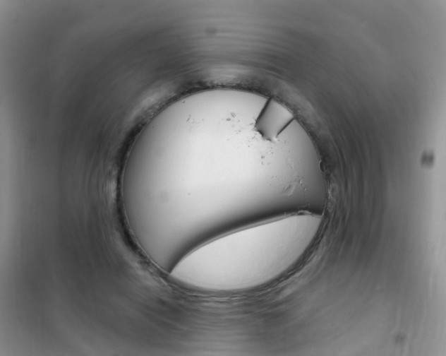 X0000102360454200808011003
