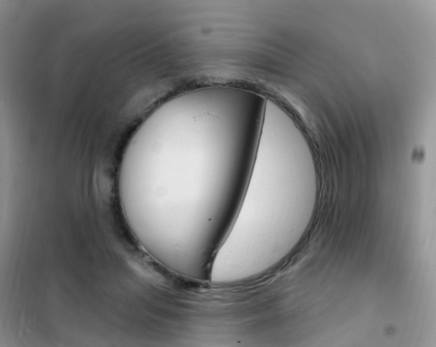 X0000102360455200808011003