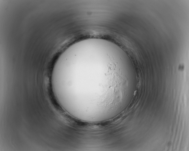 X0000102360456200808011003