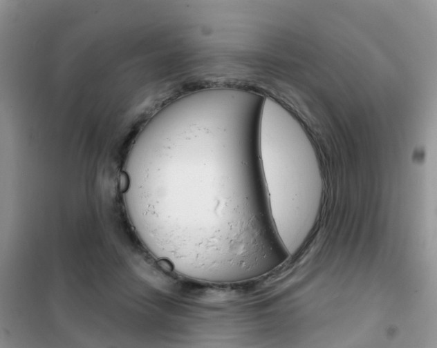 X0000102360458200808011003
