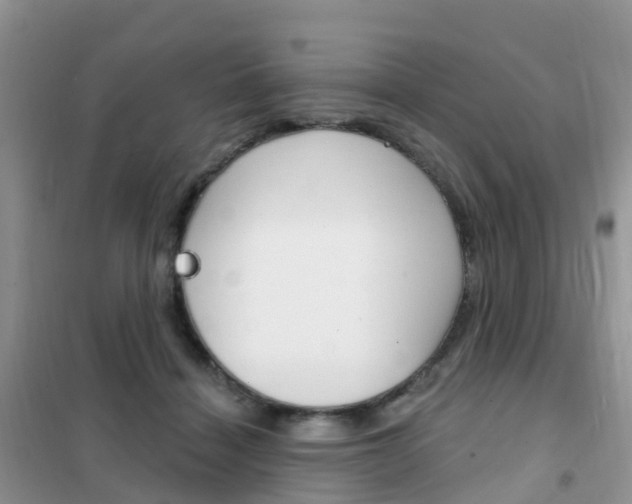 X0000102360460200808011003