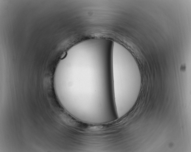 X0000102360461200808011003