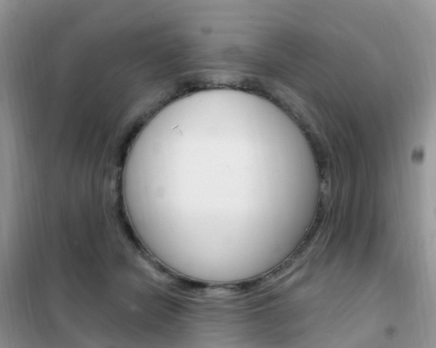 X0000102360462200808011003