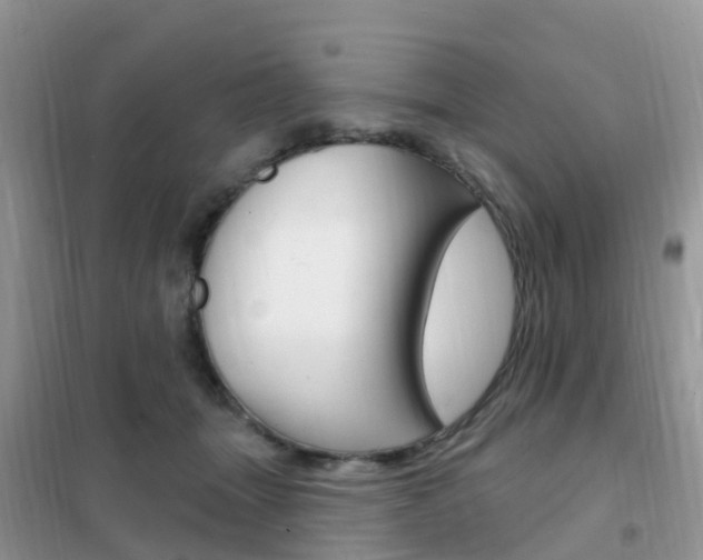 X0000102360463200808011003