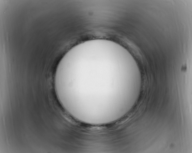 X0000102360465200808011003