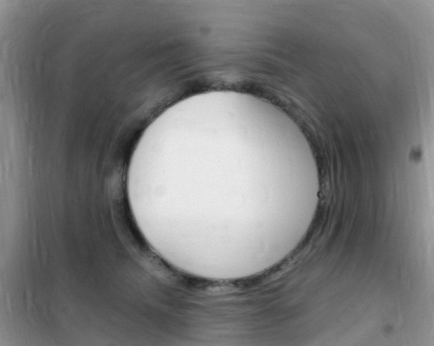 X0000102360468200808011003