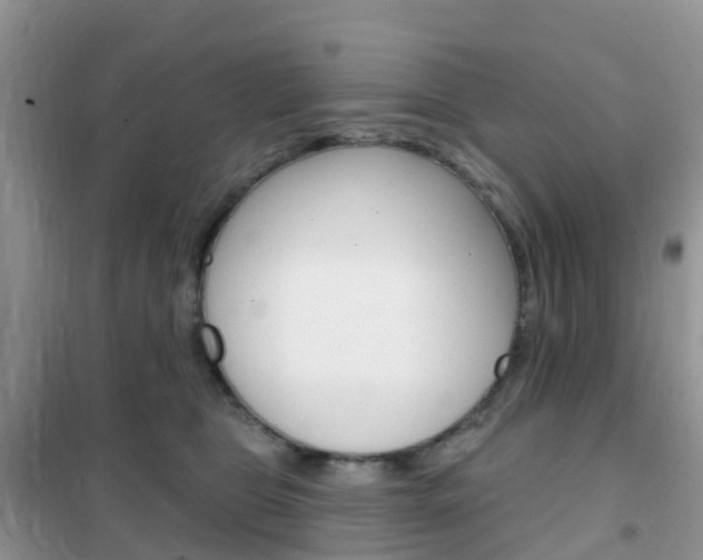 X0000102360469200808011003