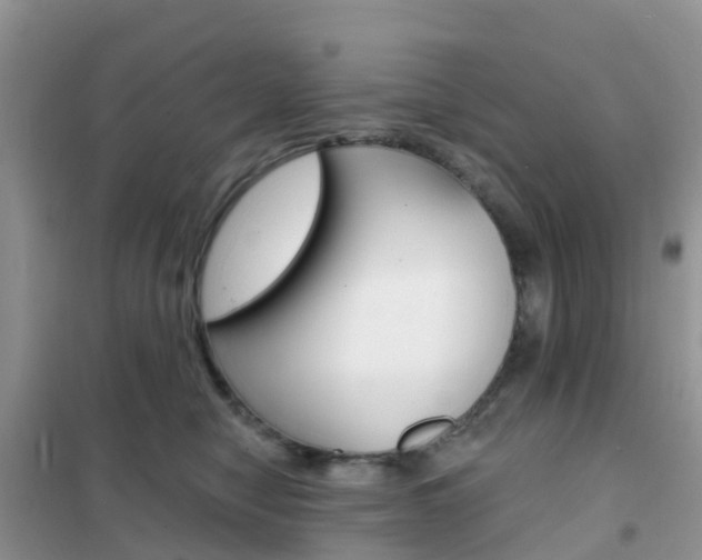 X0000102360470200808011003