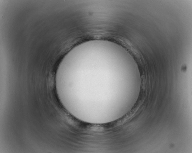 X0000102360471200808011003