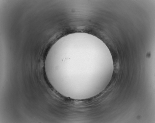 X0000102360472200808011003