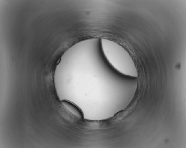 X0000102360473200808011003