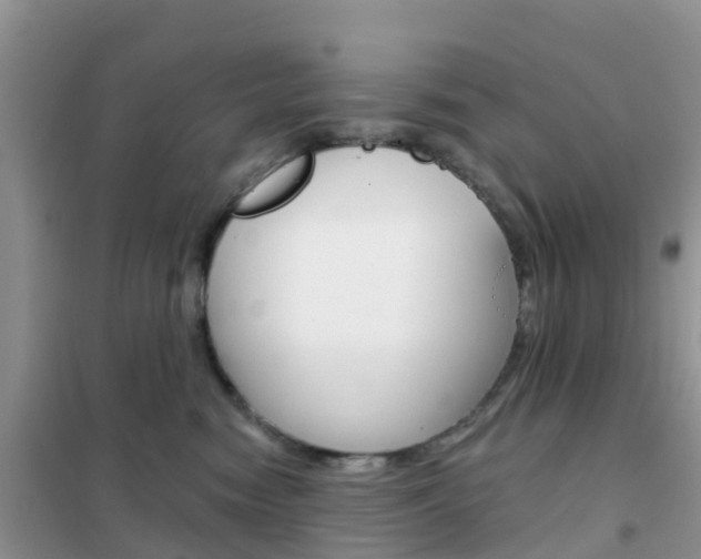 X0000102360474200808011003