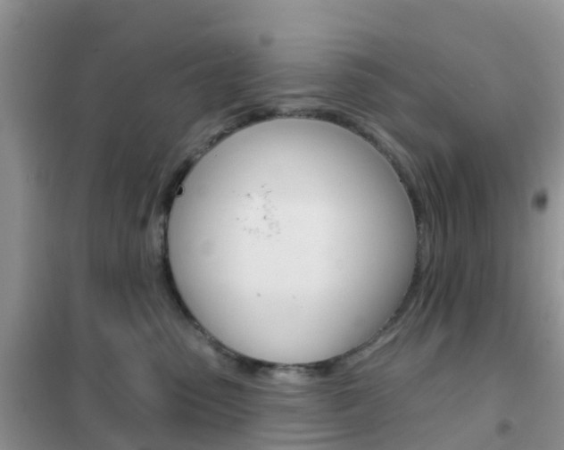 X0000102360475200808011003
