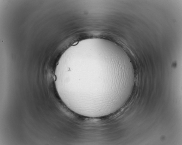 X0000102360476200808011003