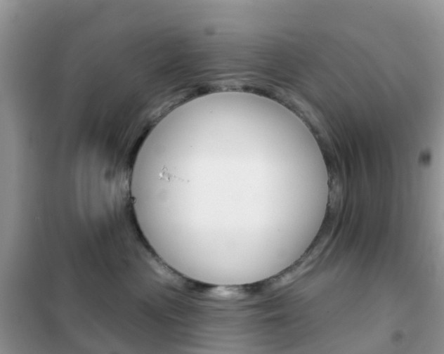 X0000102360477200808011003