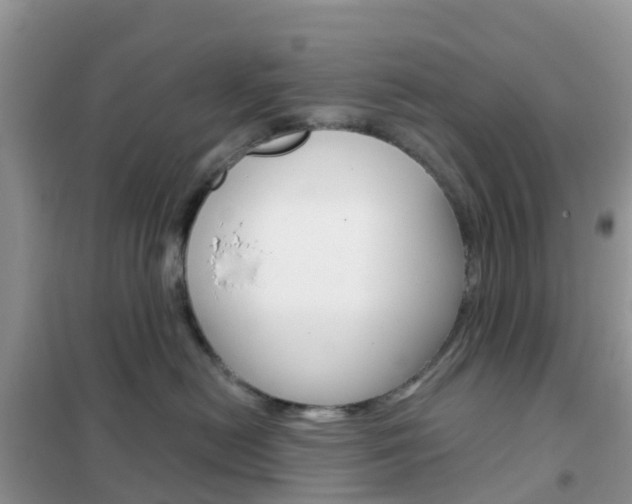 X0000102360478200808011003