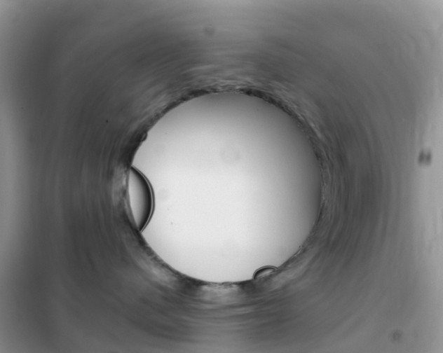 X0000102360480200808011004